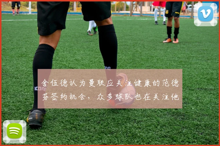 舍伍德认为曼联应关注健康的范德芬签约机会，众多球队也在关注他